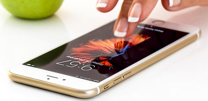 Registro de titulares del servicio móvil celular ""