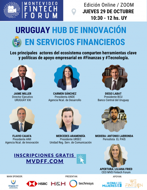 Flyer del Panel