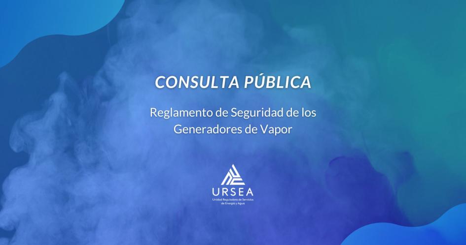 consulta publica generadores de vapor
