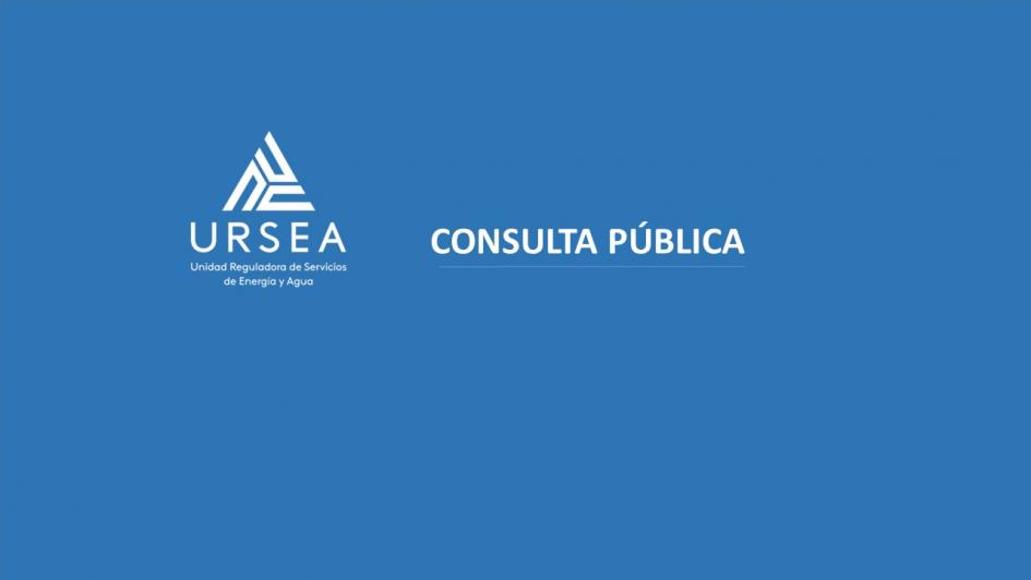 Consulta Pública N° 49 Consulta Pública N° 49