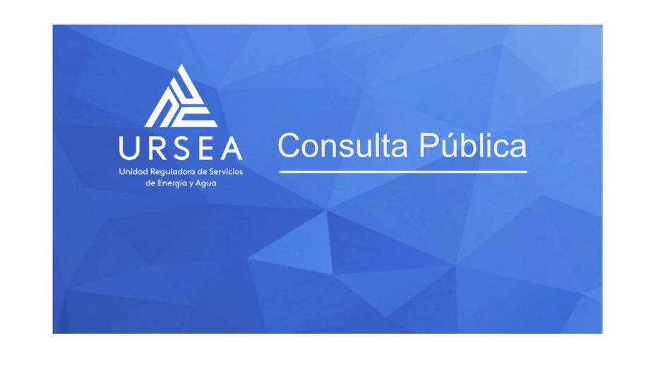 Consulta Pública N° 51 Consulta Pública N° 51