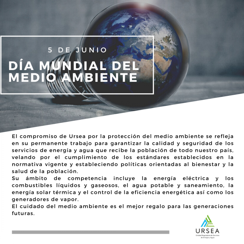 Día Mundial del Medio Ambiente Día Mundial del Medio Ambiente