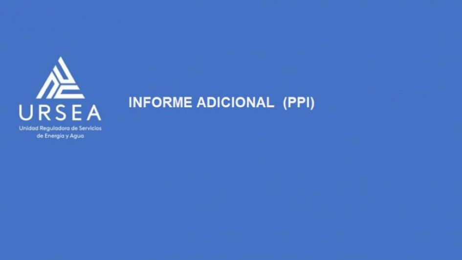 Informe adicional Enero 2022