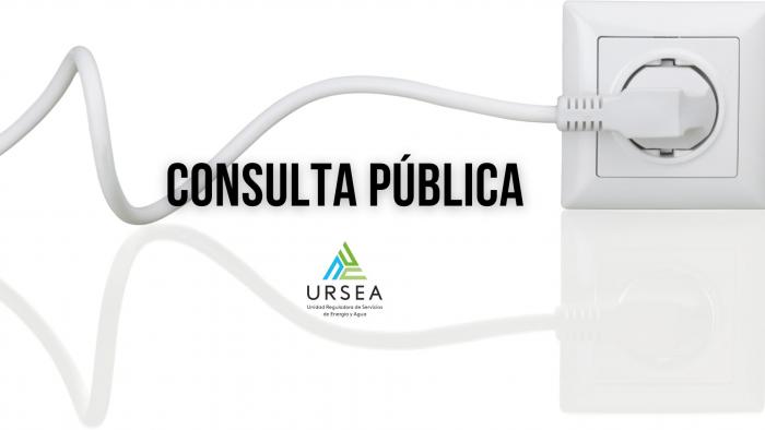 consulta publica