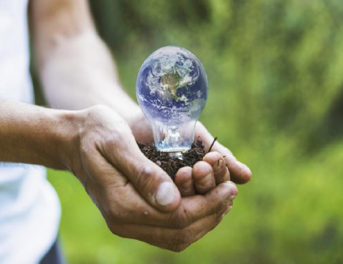 Medio ambiente en las manos