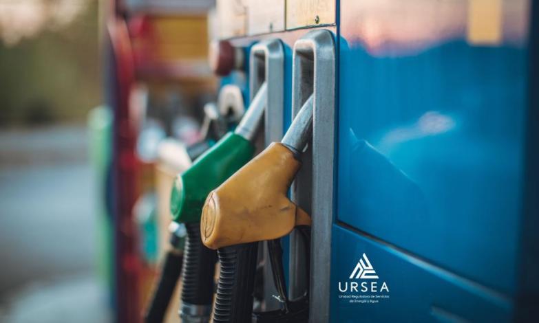 Se adjunta Decreto N° 087/025 